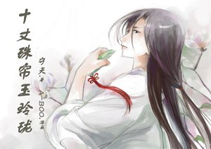 十丈珠帘玉玲珑